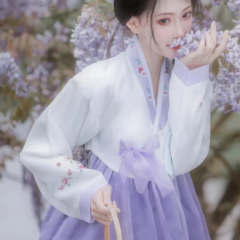 Hanbok dress Women Violet Embroidered Korean Costume Female Korean Palace Photography Travel Hanbok Dance Performance Costume