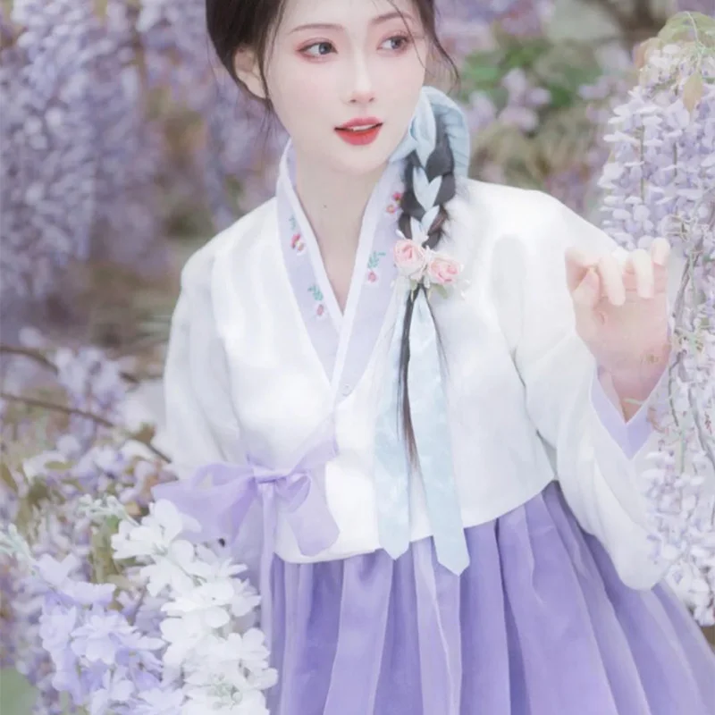 Hanbok dress Women Violet Embroidered Korean Costume Female Korean Palace Photography Travel Hanbok Dance Performance Costume