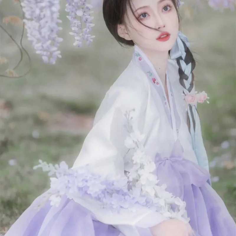 Hanbok dress Women Violet Embroidered Korean Costume Female Korean Palace Photography Travel Hanbok Dance Performance Costume