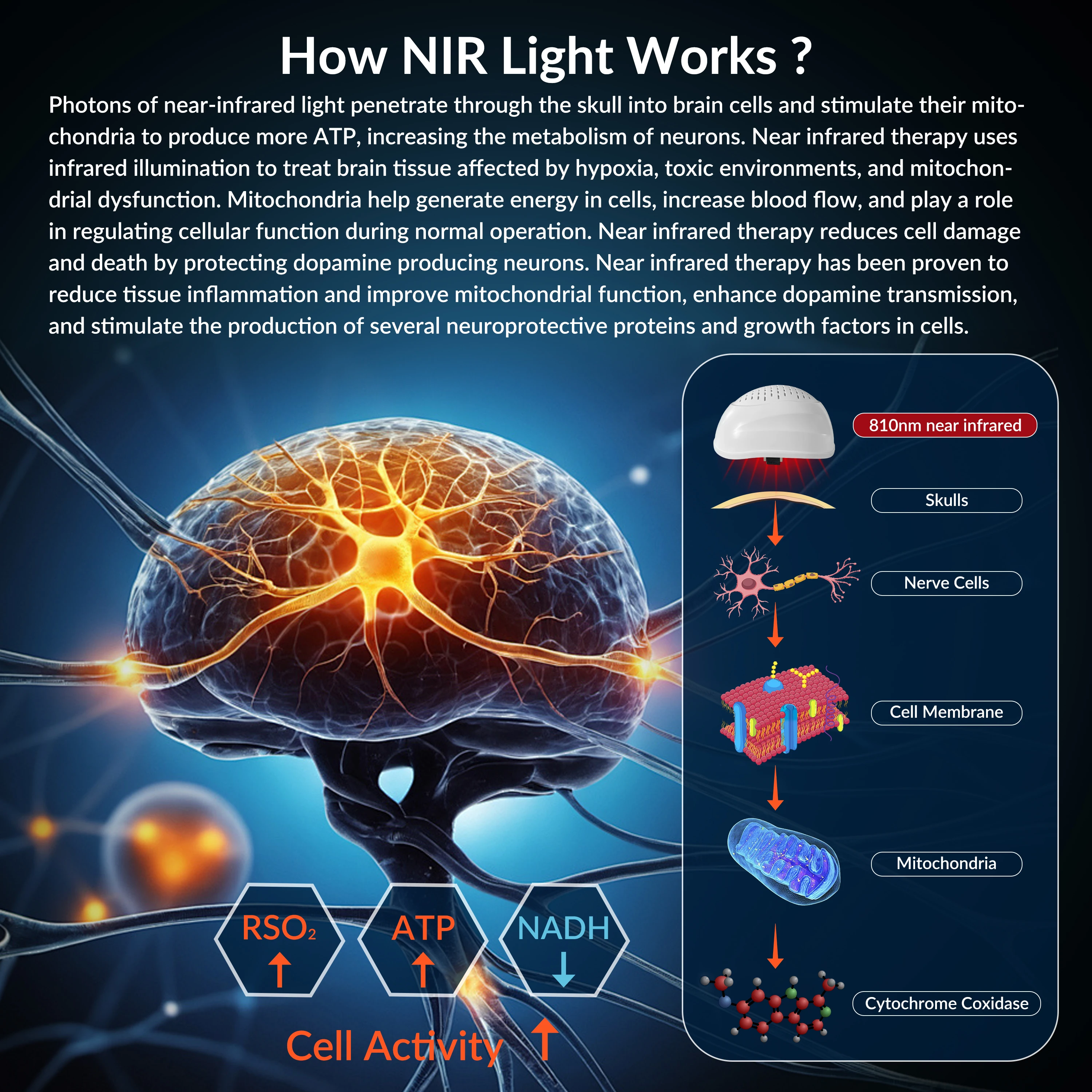 2026 1070nm Near-Infrared Red Light Therapy Brain Helmet Nerve Stimulator Device for Parkinson Stroke Autism Photobiomodulation