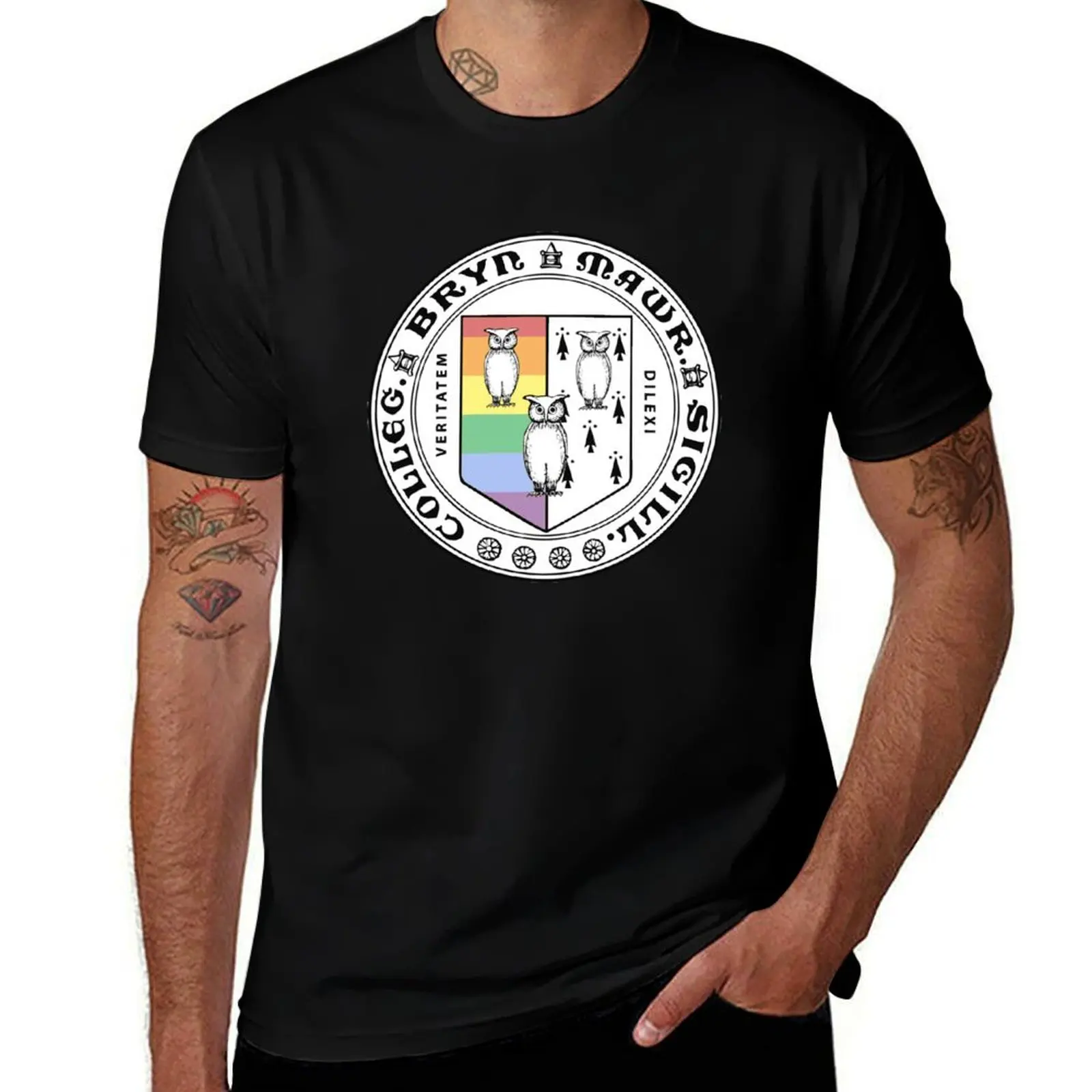 Bryn Mawr Faded Pride Seal T-Shirt Work Basic Short Sleeve Top T-Shirt