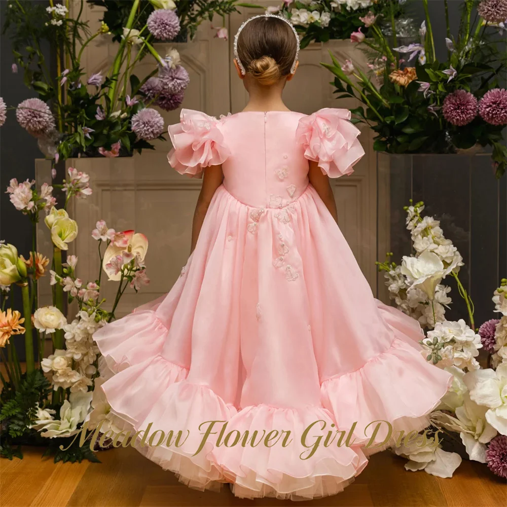 Meadow Light Pink Kids Birthday Party Dress Round Neck Pageant Dress for Girl with Embroidery Applique First Communion Gown