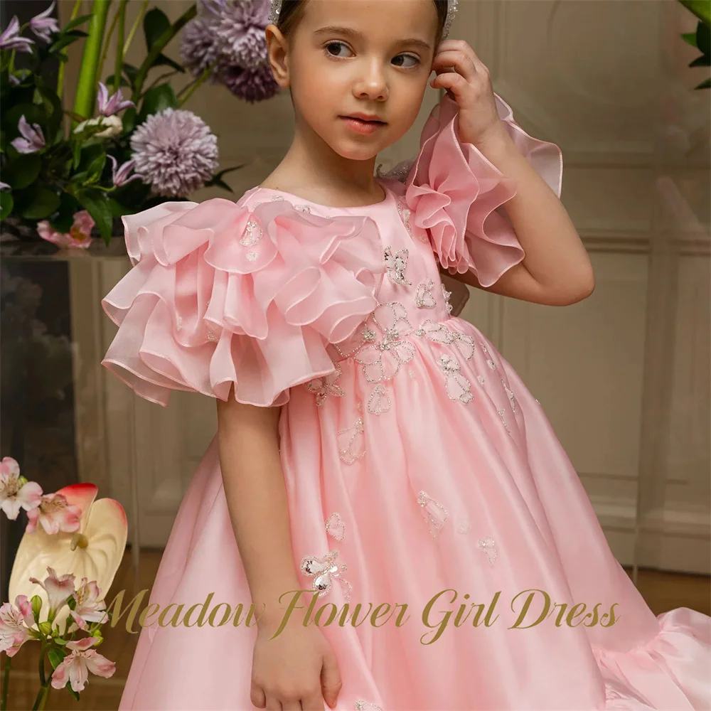 Meadow Light Pink Kids Birthday Party Dress Round Neck Pageant Dress for Girl with Embroidery Applique First Communion Gown