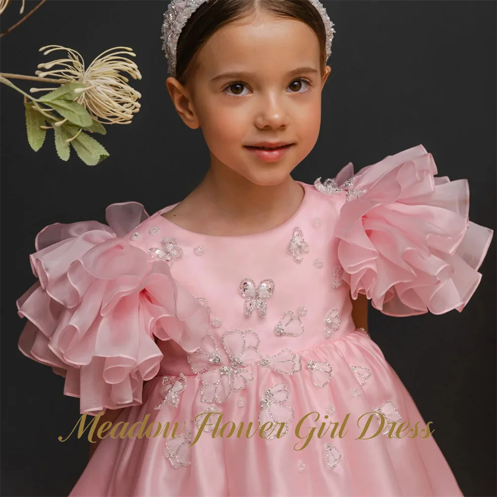 Meadow Light Pink Kids Birthday Party Dress Round Neck Pageant Dress for Girl with Embroidery Applique First Communion Gown