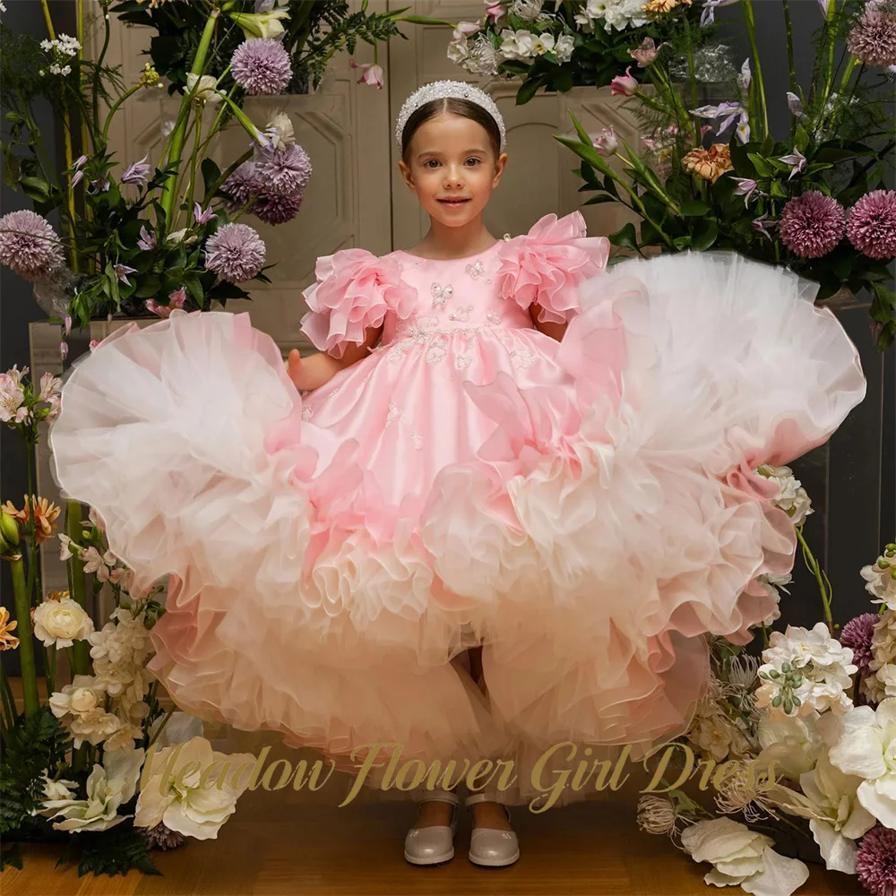Meadow Light Pink Kids Birthday Party Dress Round Neck Pageant Dress for Girl with Embroidery Applique First Communion Gown