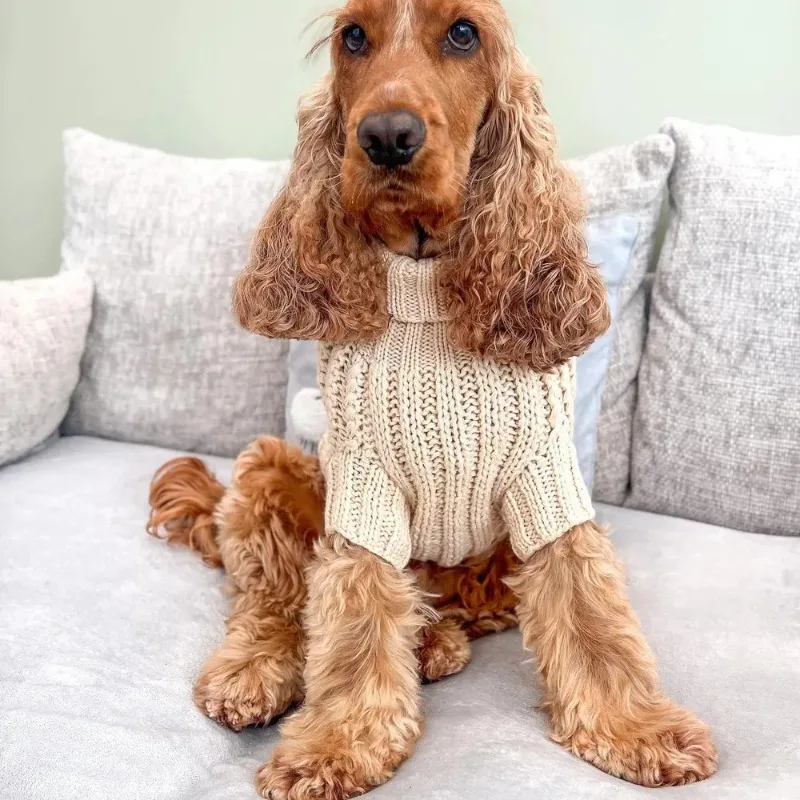 Winter Hand Knitting  Crochet Pattern Easy Sweater Cardigans Clothes Cat Outfits Coat Warm Pet Clothes for Small Dog