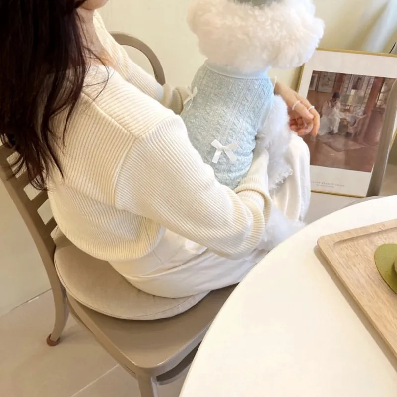 No Hat Fashion Dog Knitted Sweater Pet Dog Clothes Teddy Bear Small Dog Pomerania Autumn Winter Puppy Clothing Chihuahua