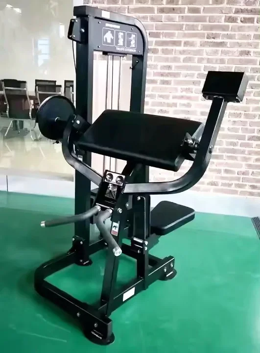 Commercial Pin Loaded Selection Gym Equipment Sport Strength Training Seated Dual Function Triceps Machine Biceps Curl Machine