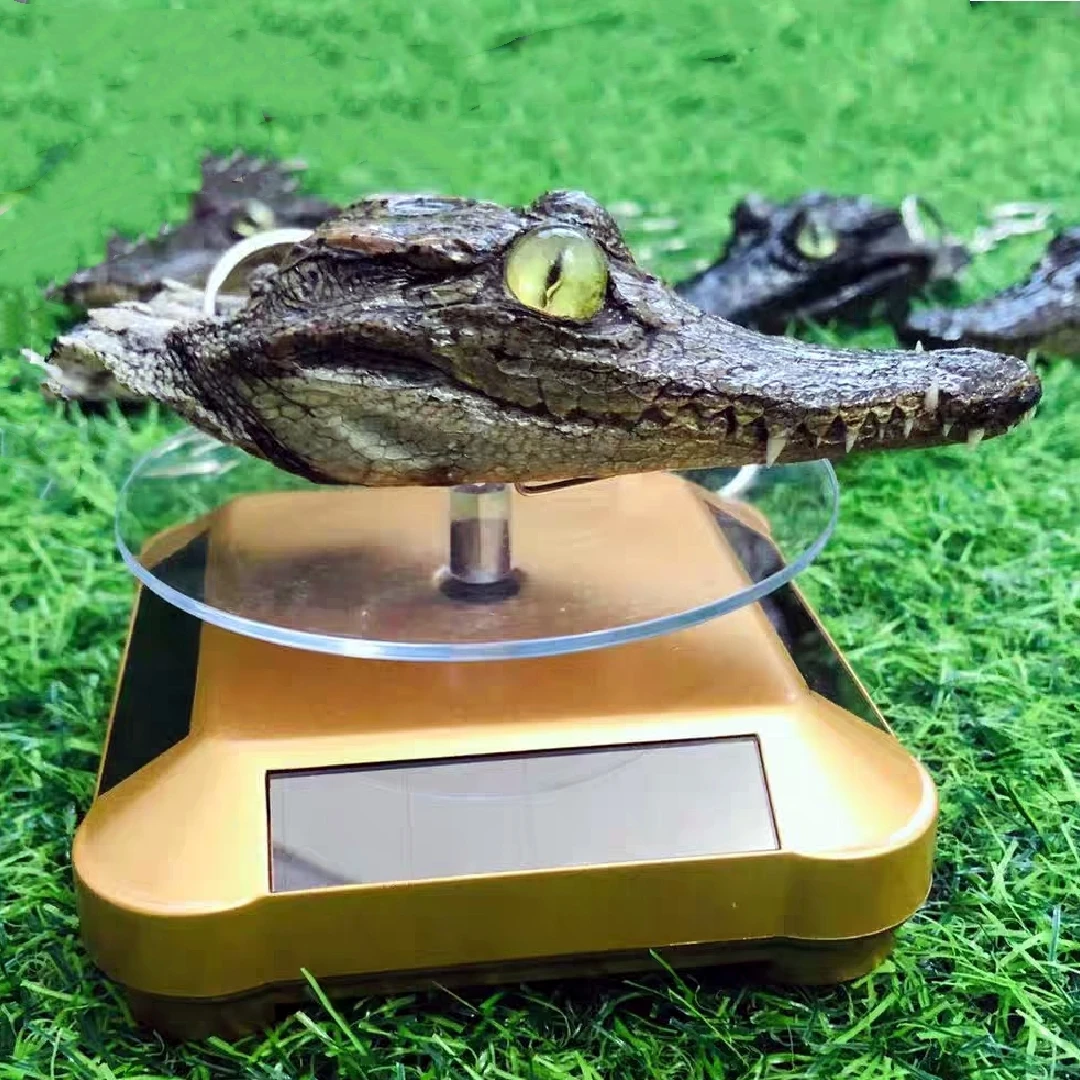 2188 Wholesale Crocodile Head Decoration Resin Art Specimens Handicraft Gothic Wall Decoration Christmas Halloween Party Gifts