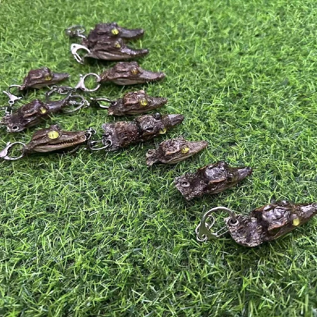 2188 Wholesale Crocodile Head Decoration Resin Art Specimens Handicraft Gothic Wall Decoration Christmas Halloween Party Gifts