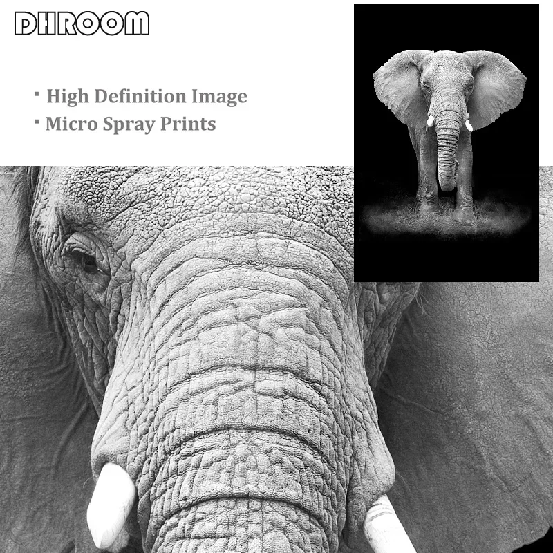 prod_6aa415bc50fa10.44811764.webp