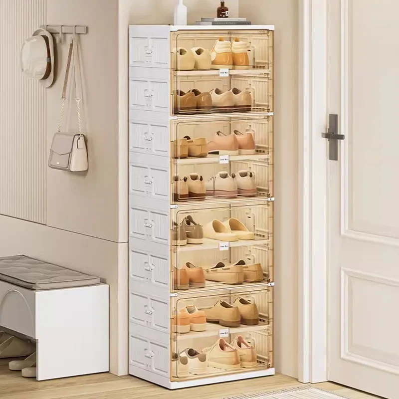 Lounge Clear Shoe Cabinet Decoration Beauty Large Size Rectangle European Hotel Trendy Shoe Shelf Safe Gabinete Unique Furniture