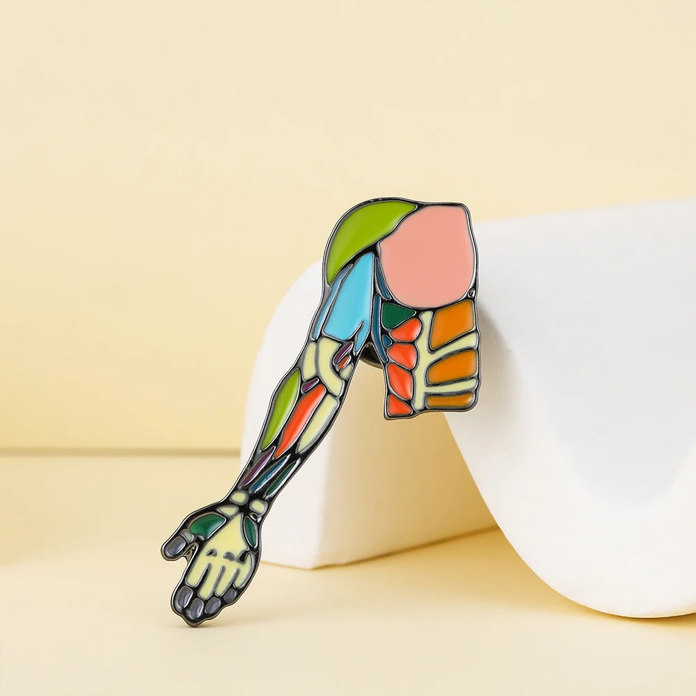 Hanreshe Medical Arm Muscle Brooch Anatomy Colorful Enamel Pin Backpack Lapel Badge Biology Jewelry for Doctor Nurse