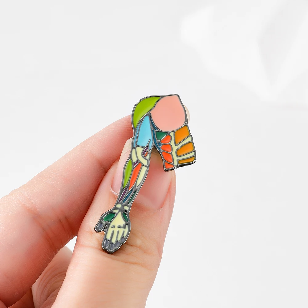 Hanreshe Medical Arm Muscle Brooch Anatomy Colorful Enamel Pin Backpack Lapel Badge Biology Jewelry for Doctor Nurse