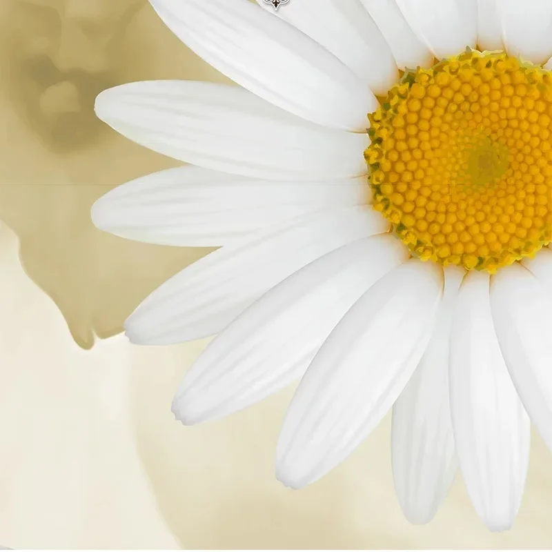 Custom 3D Photo Mural Wall Painting White Daisies Fresh Flower Background Wallpaper Papel Pintado Pared Home Décor Tapety Fresco