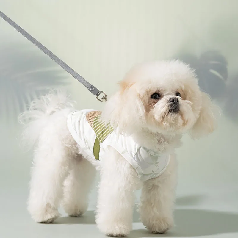 prod_6aa45bb5dcc8a4.40890756.webp