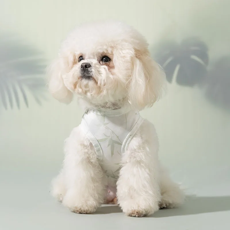 prod_6aa45bb641e397.58763968.webp