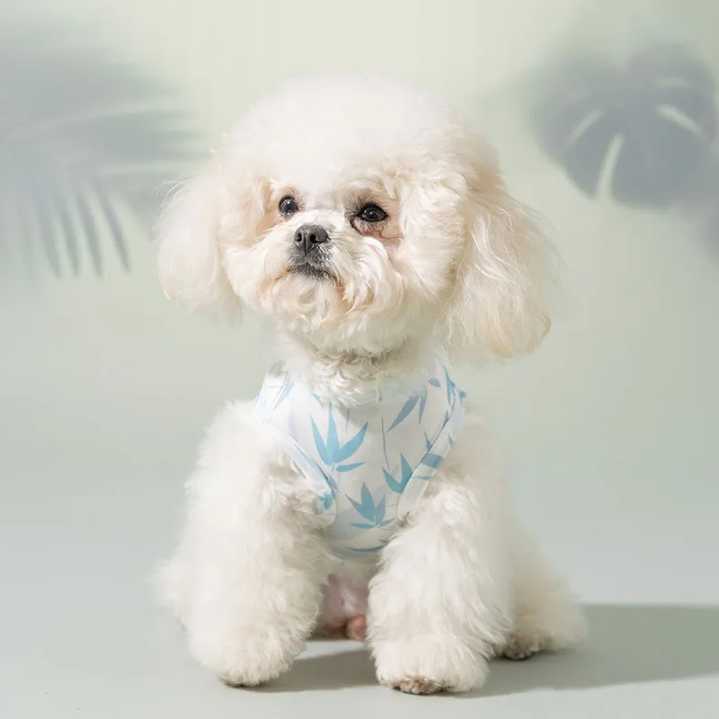 prod_6aa45bb68c6704.47890351.webp