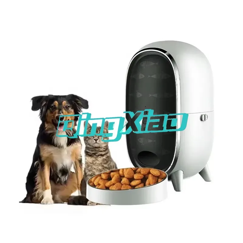 prod_6aa45ce994f4f5.17445670.webp