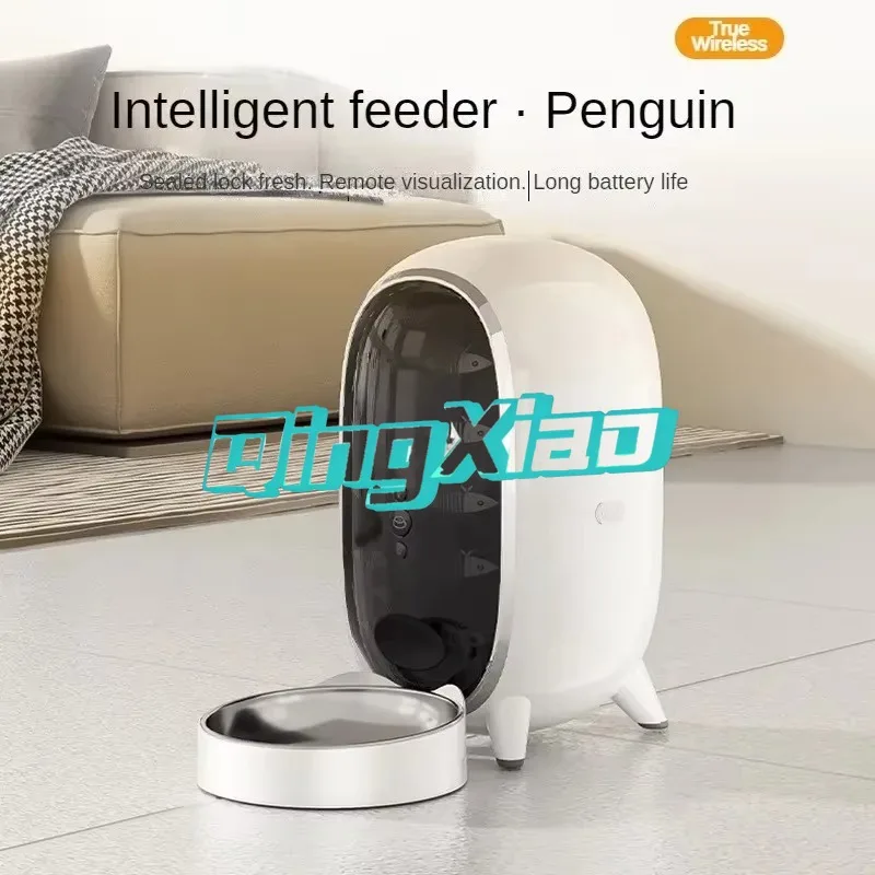prod_6aa45ce9d71ca1.38384565.webp