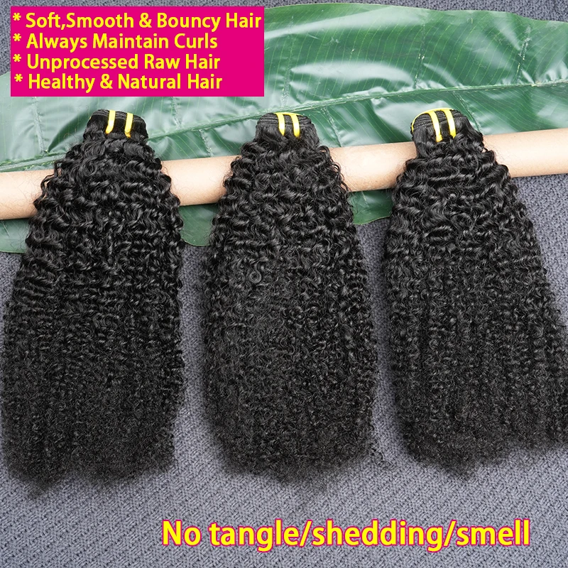 4C Afro Kinky Curly Human Hair Unprocessed 100% Raw Virgin Human Hair Extensions 4B Kinky Coily Double Weft Natural Black Color