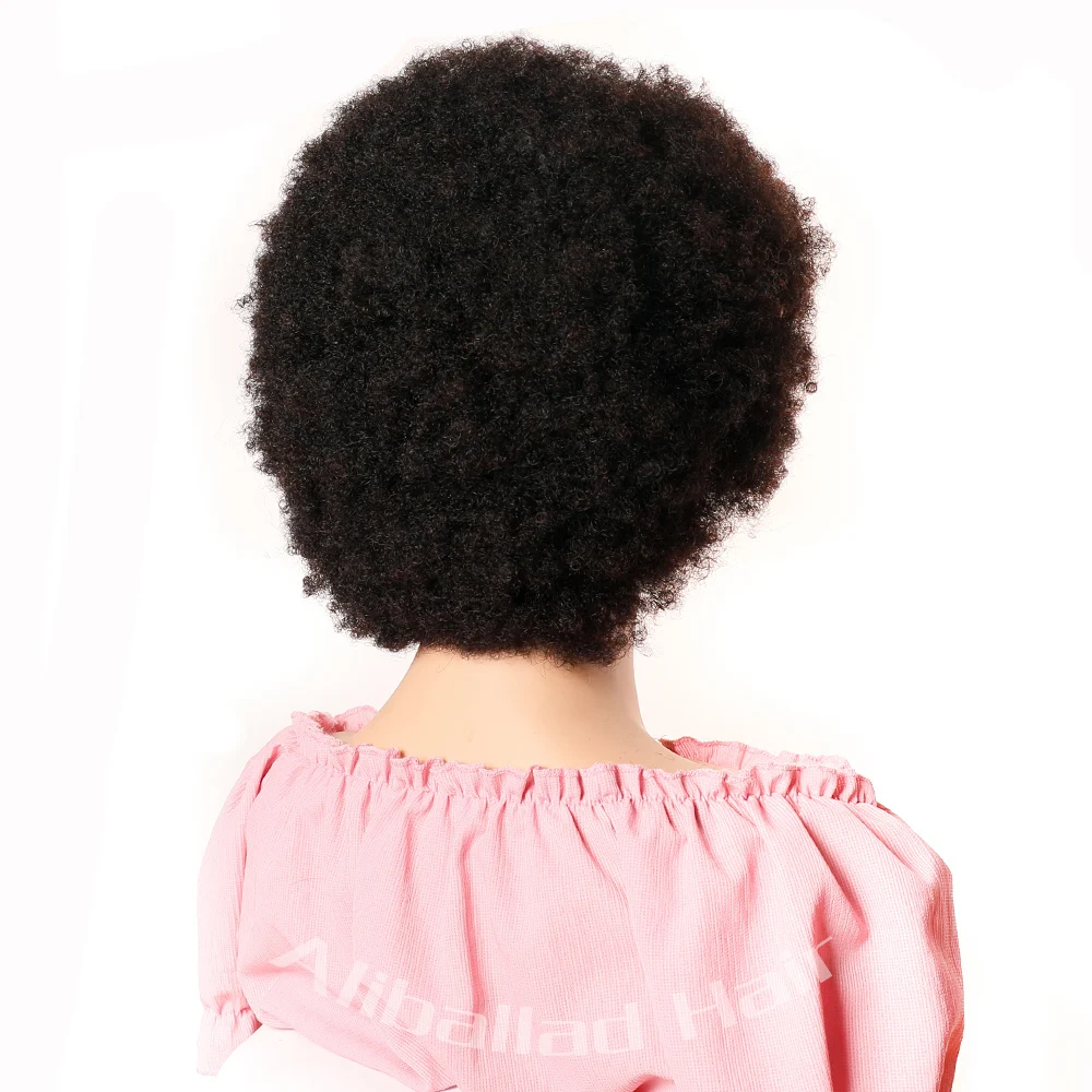 Afro 13x4 Lace Front Wig Human Hair Afro Kinky Curly Wig With Baby Hair Pre-Plucked Fluffy Full Lace Wigs For Women