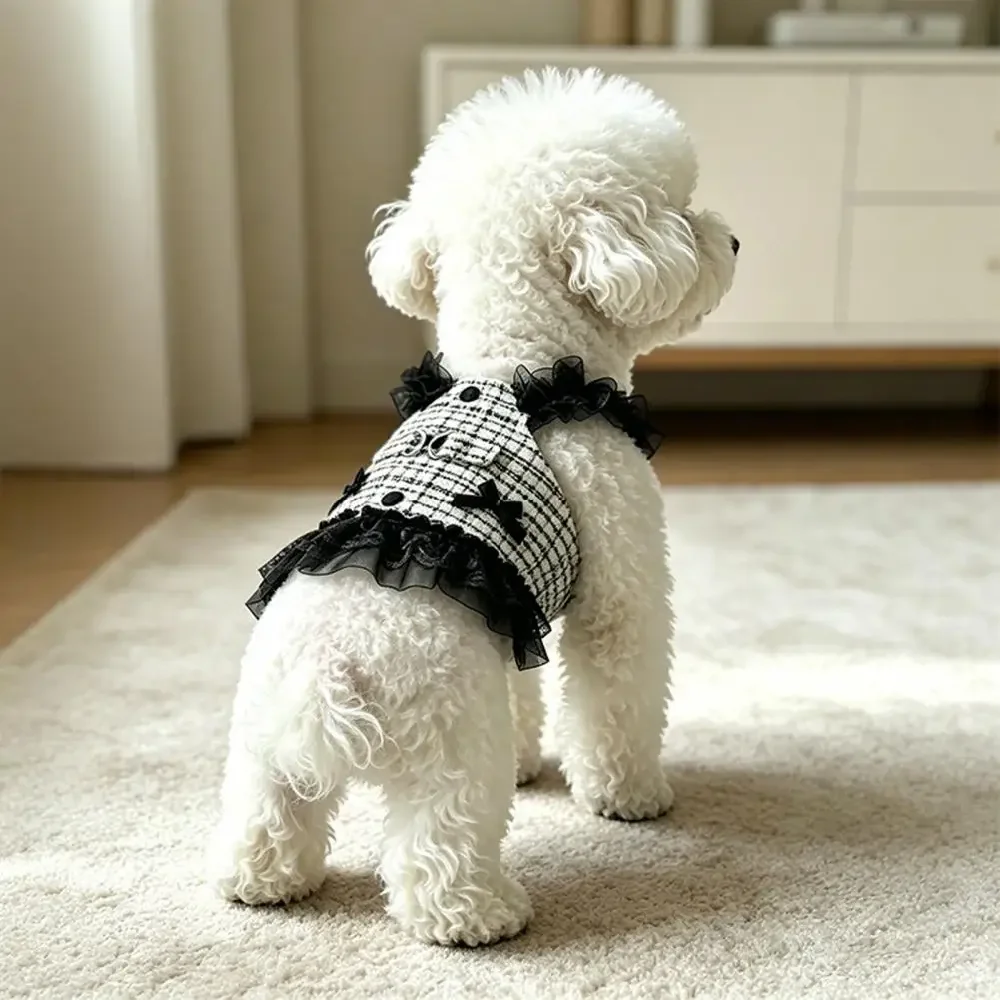 prod_6aa462ffc09a52.47683932.webp