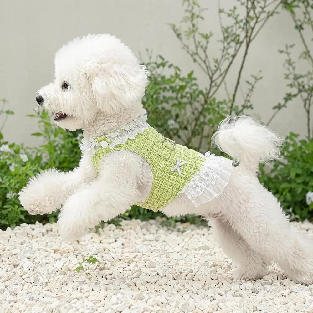 prod_6aa463007232b6.13159501.webp