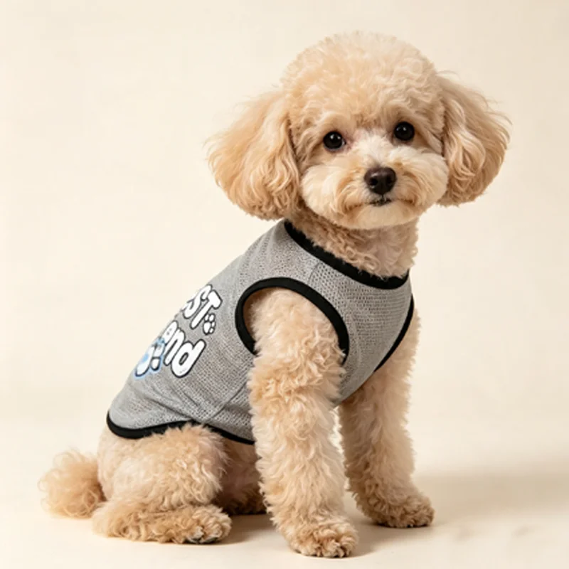 prod_6aa46305a57a51.34022453.webp