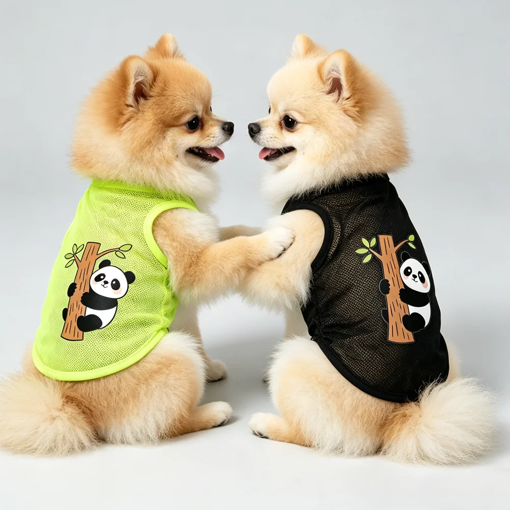 prod_6aa4632d593b48.43284569.webp