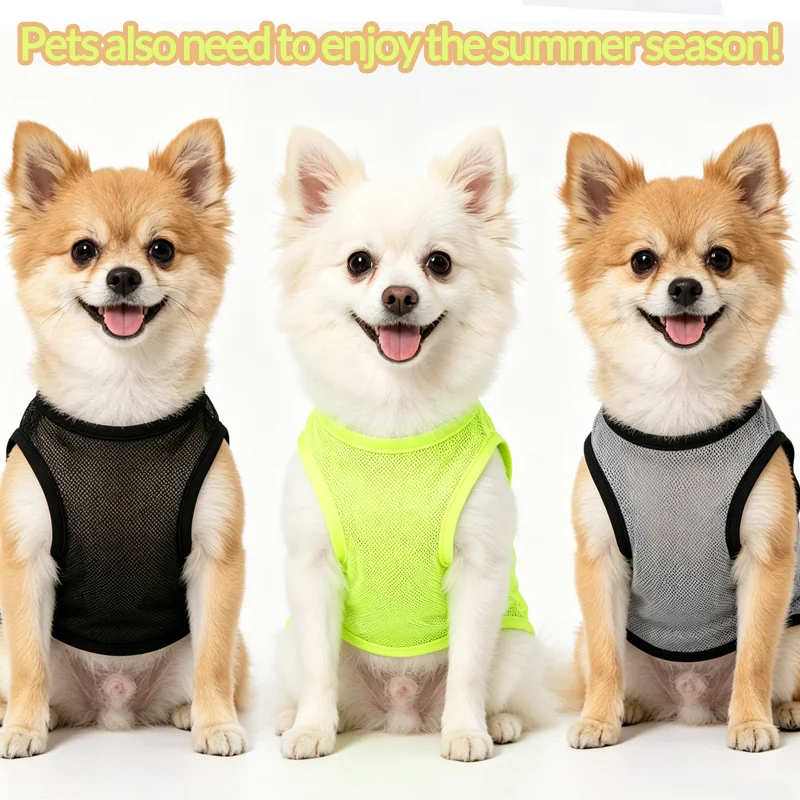 prod_6aa46343b49027.67175699.webp