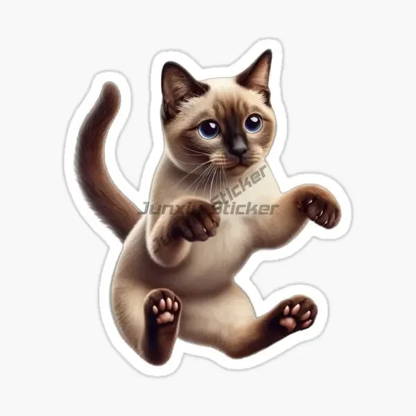 prod_6aa46a1ea19b30.24502179.webp