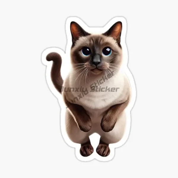 prod_6aa46a1f3c4aa7.23268194.webp