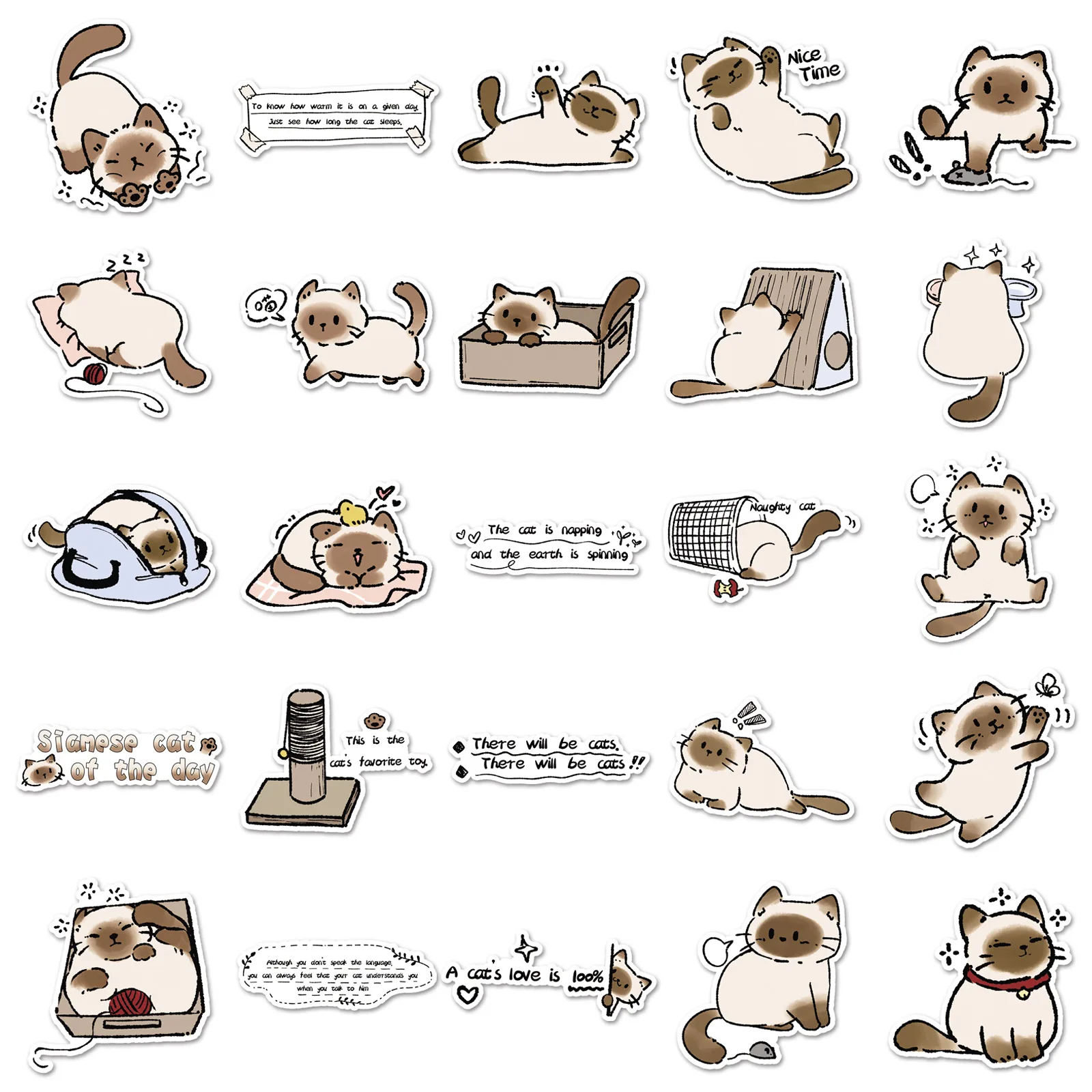 prod_6aa46a23f3b112.24310708.webp