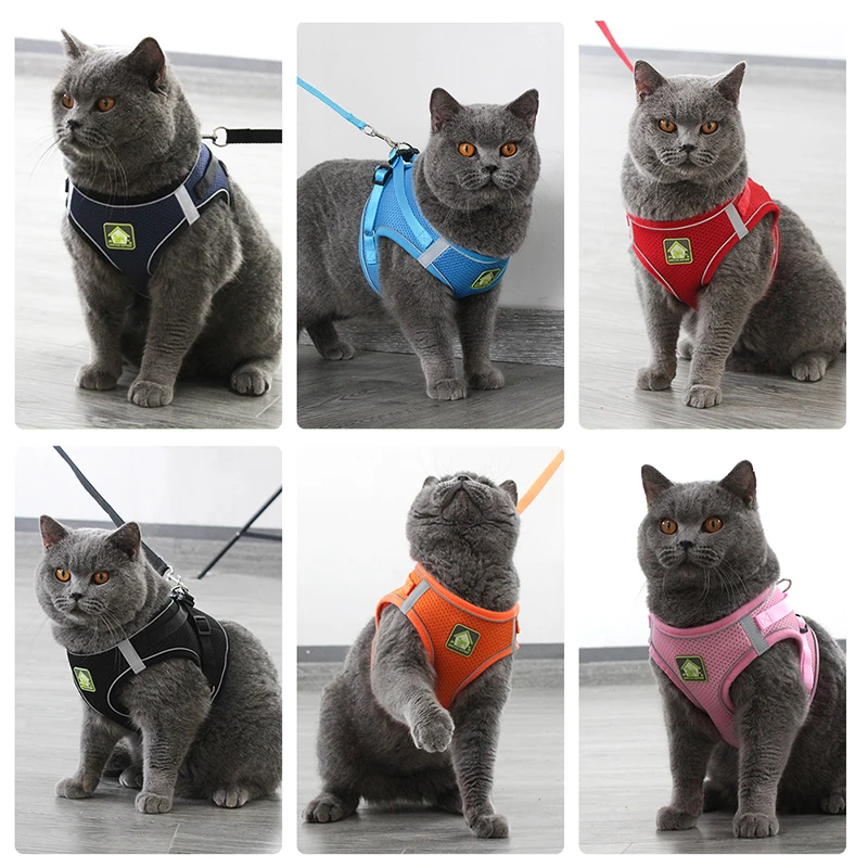 Reflective Pet Cat Harness Vest Leash Set Breathable Mesh Puppy Harnesses Adjustable Lead Leashes for Dogs Cats Supplies
