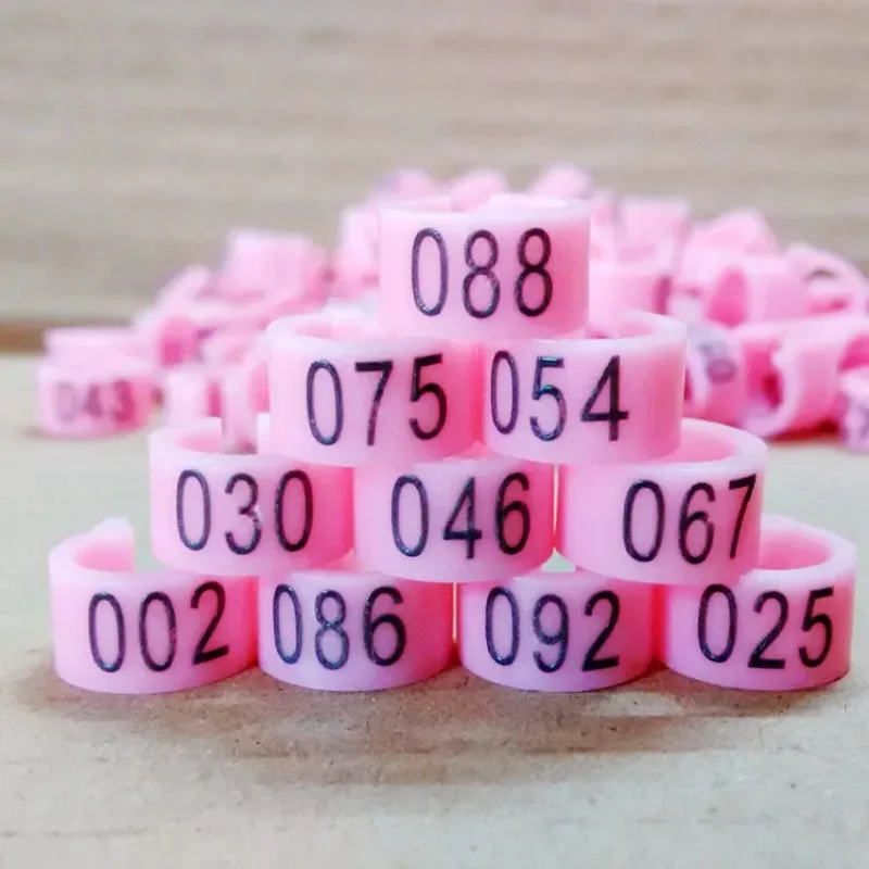 100pcs Inner Diameter 8mm Bird Foot Ring Dove Pigeon Parrot Leg Rings Small Birds Foot Ring Bird Clip Ring 10 Colors