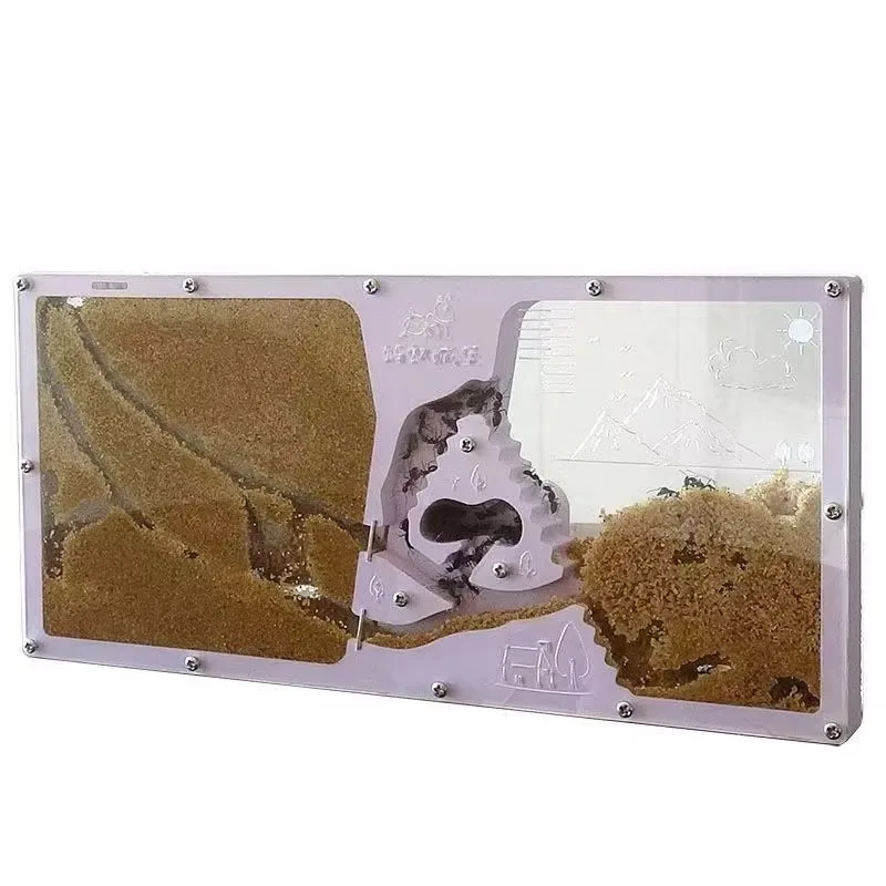 Acrylic DIY Large Ant Farm with Feeding Area Big Ants House Ant Nest Villa Insect Habitat Pet Anthill Ecological Workshop