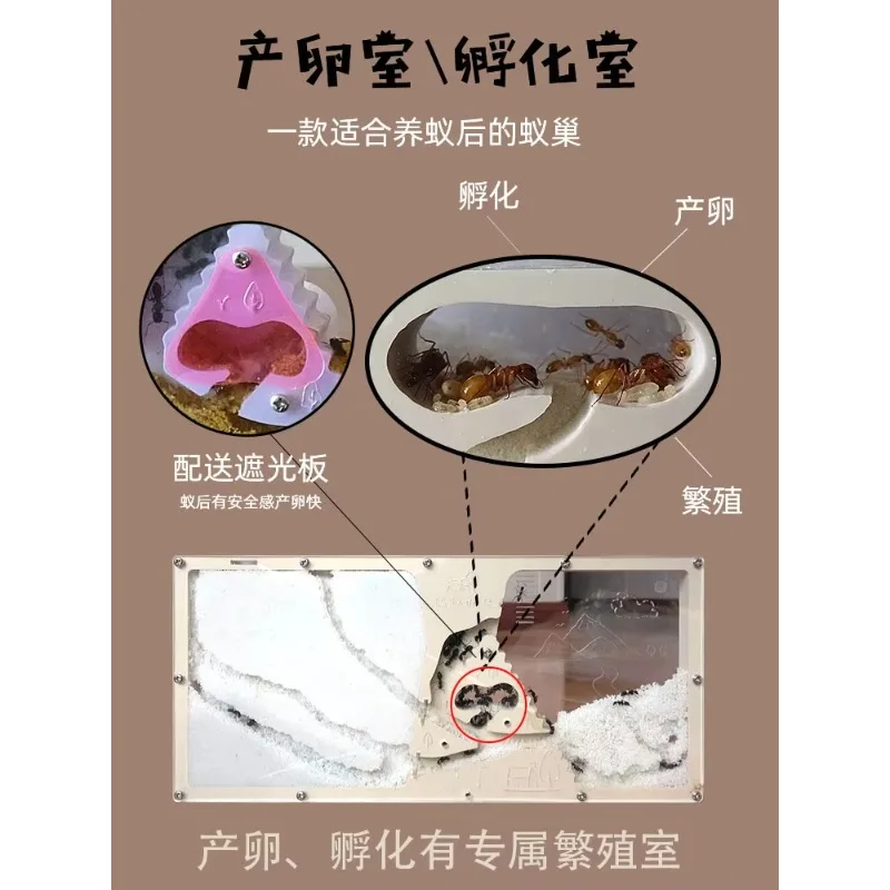 prod_6aa48e7be8ce79.59734099.webp