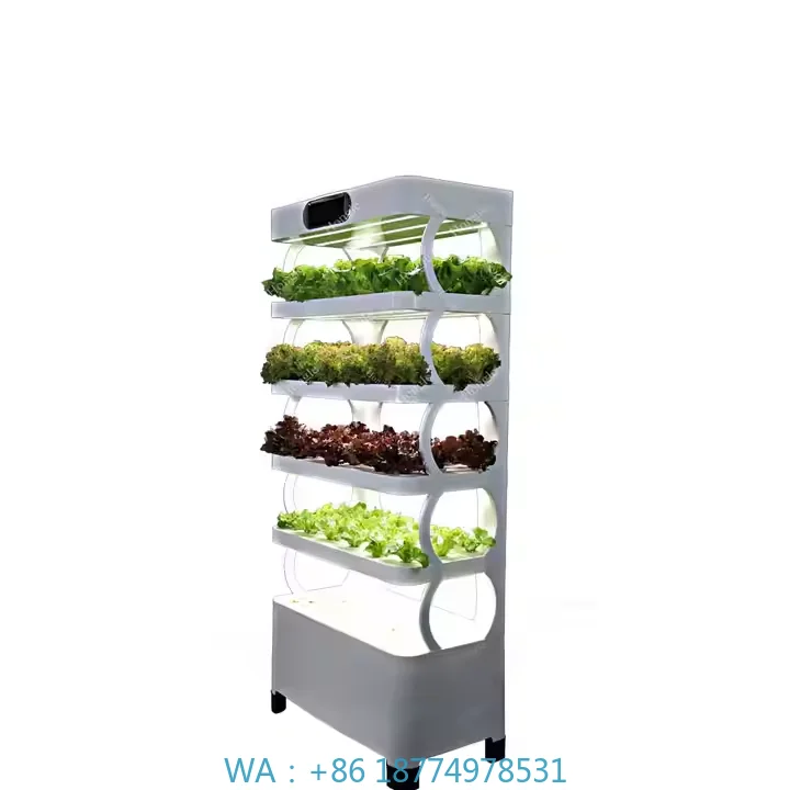 Growing System for Leafy Green VegetableHome Garden Indoor Plant Greenhouse Cabinet Hydroponic