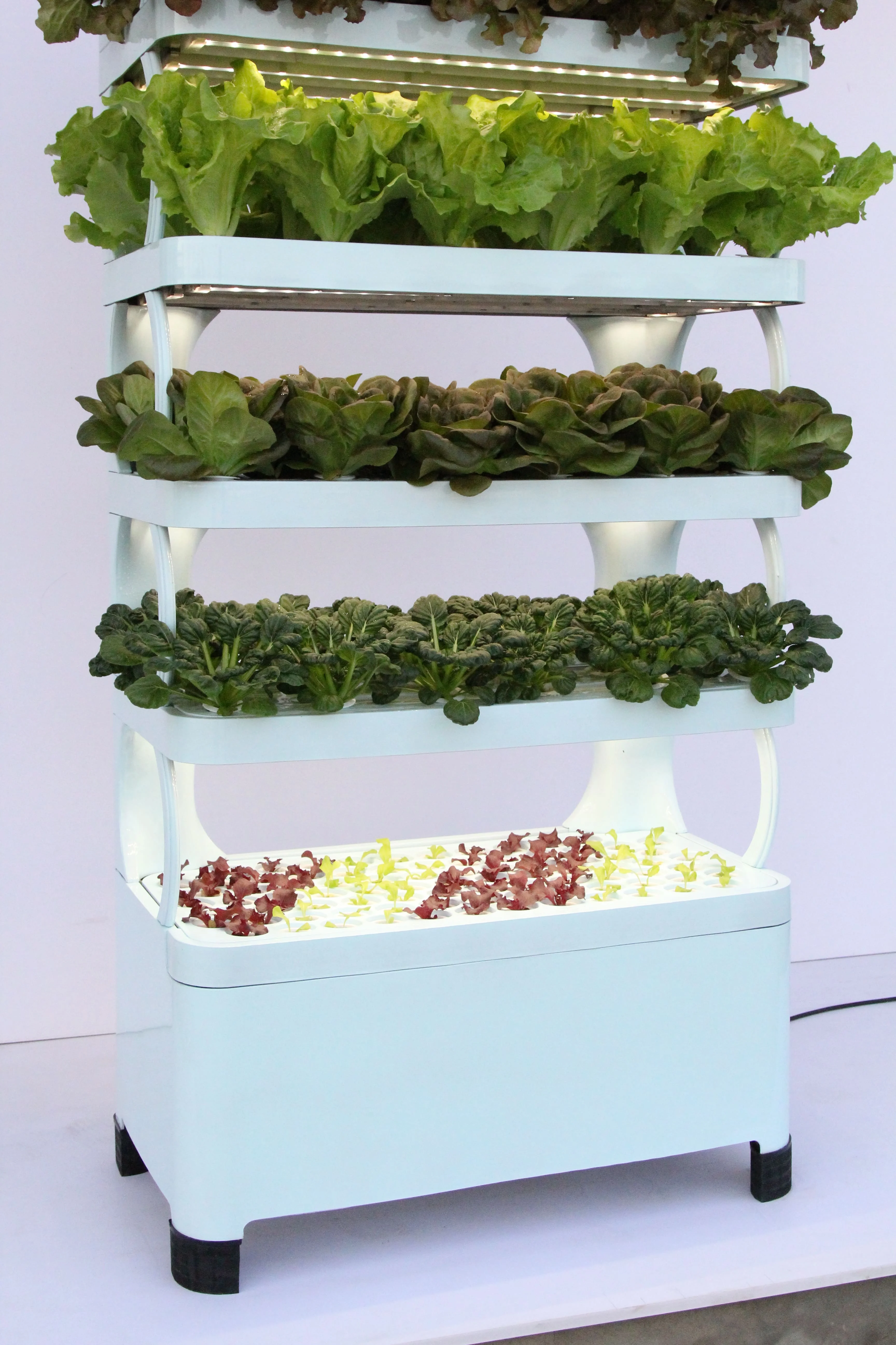 Growing System for Leafy Green VegetableHome Garden Indoor Plant Greenhouse Cabinet Hydroponic