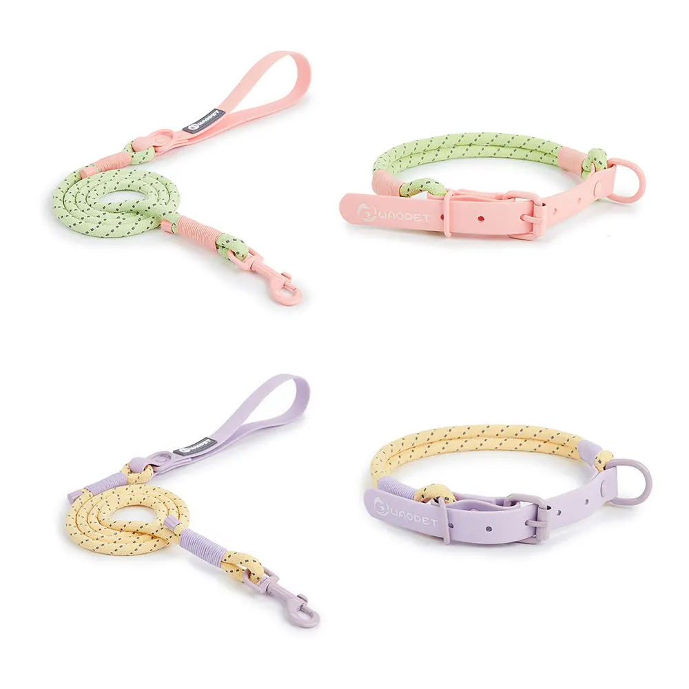 Pet Supplies Dog Collar For Small and Medium Dog Walking Sugar Color Series Cute Style PVC Webbing Collar Leashes Set New Arriva