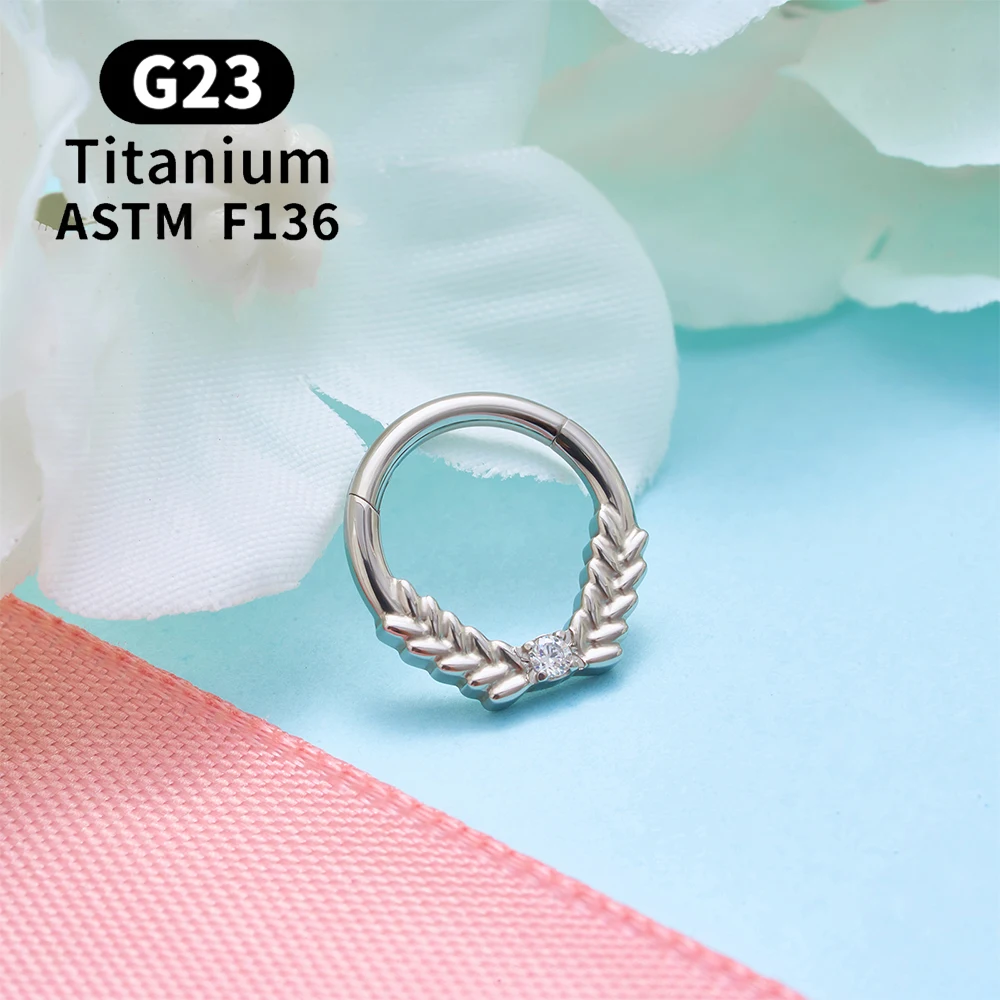 G23 Titanium Piercing EAR Nose Ring Hoops 16G CZ Hinged Segment Septum Clicker Ring Tragus Cartilage Helix Pierc Body Jewelry
