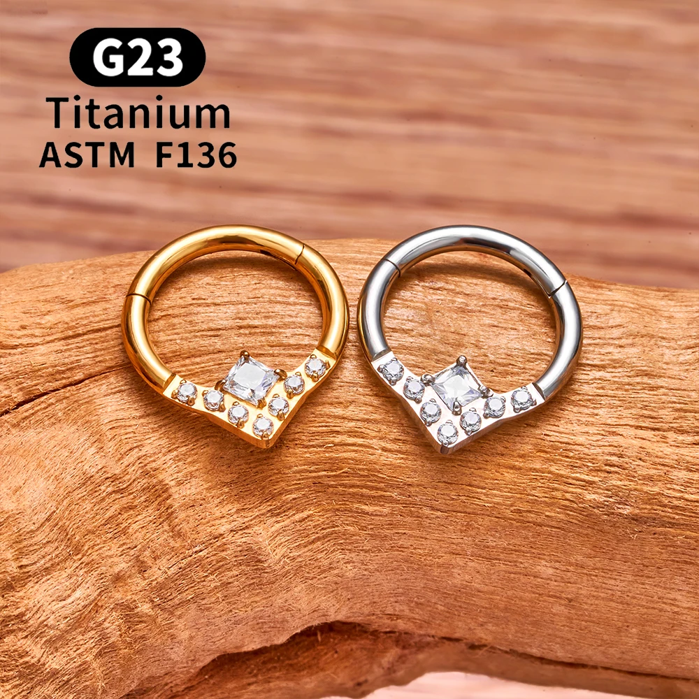 G23 Titanium Piercing EAR Nose Ring Hoops 16G CZ Hinged Segment Septum Clicker Ring Tragus Cartilage Helix Pierc Body Jewelry