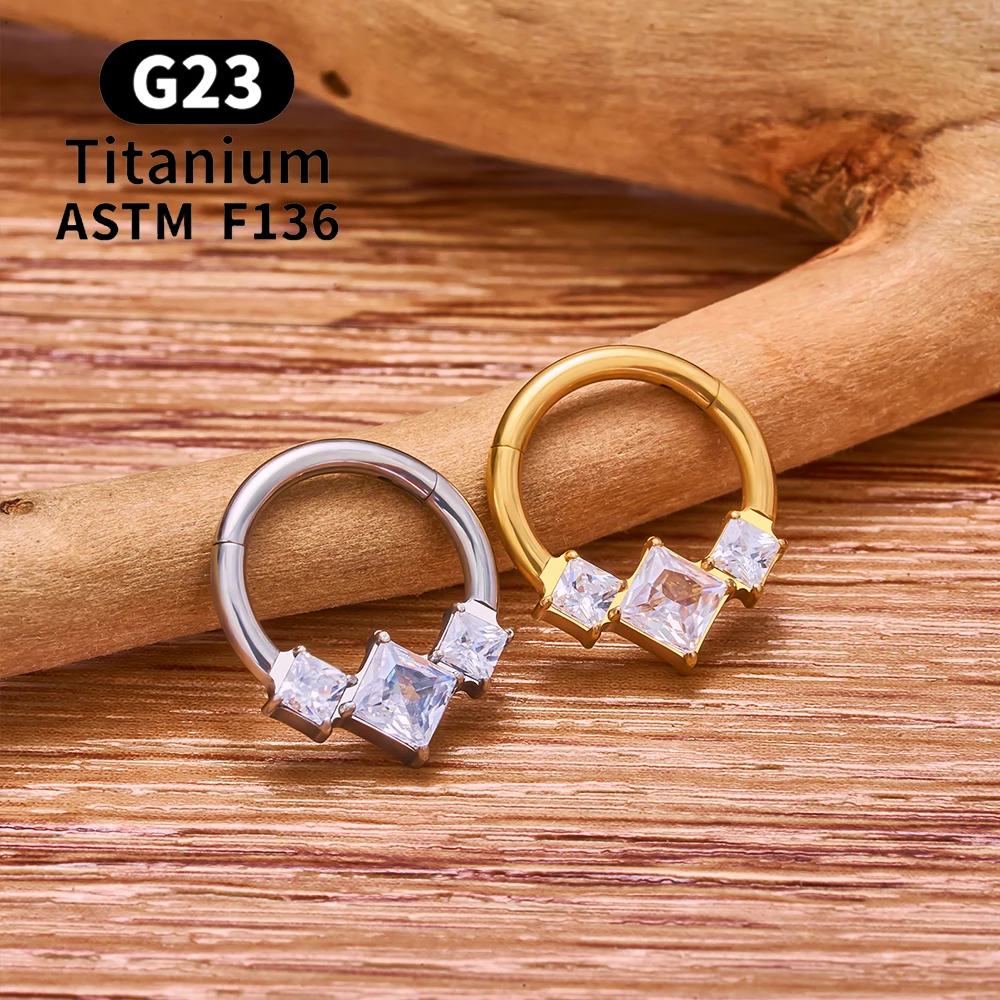 G23 Titanium Piercing EAR Nose Ring Hoops 16G CZ Hinged Segment Septum Clicker Ring Tragus Cartilage Helix Pierc Body Jewelry