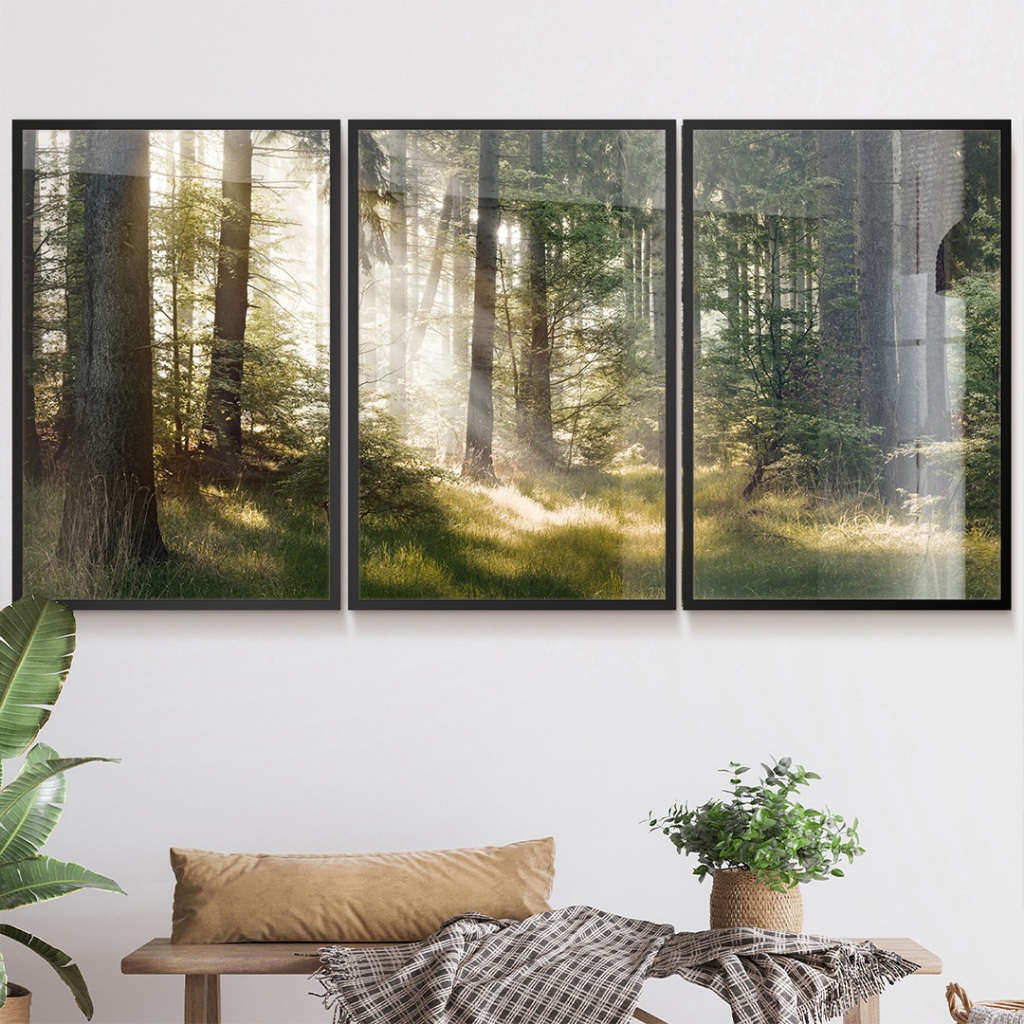 Quadro Paisagem Trio De Quadros Decorativos Com Moldura Quadro Natureza Árvores Floresta Luz Do Sol