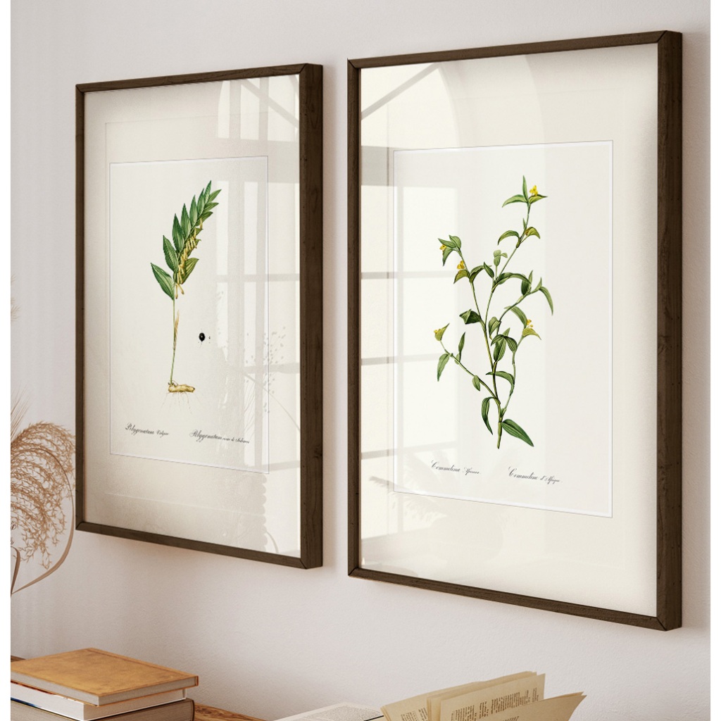 Quadro Natureza Minimalista Com Moldura E Vidro Quadro Decorativo Sala Grande Botânico Plantas Kit