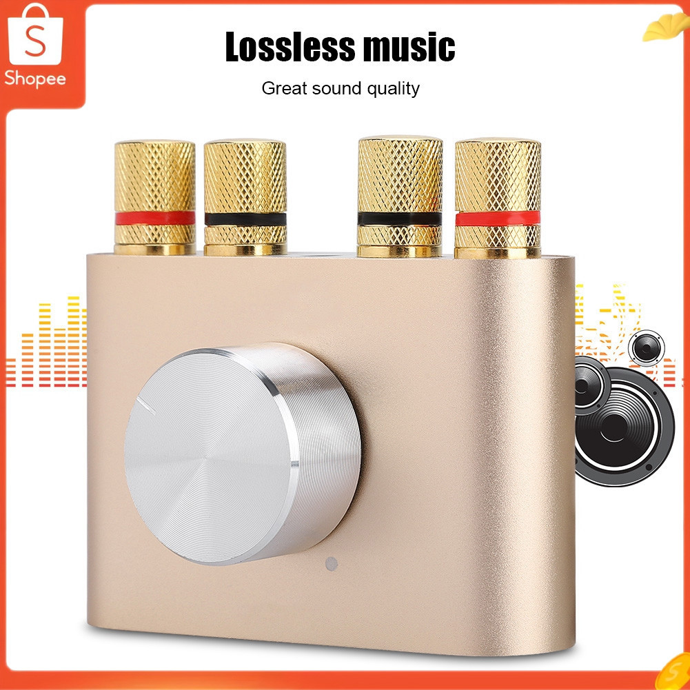 Mini amplificador digital de potência Bluetooth 100W amplificador de reprodutor de áudio estéreo HiFi
