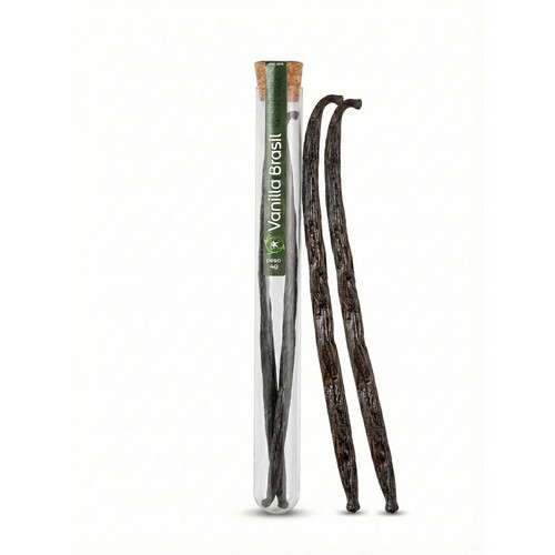 Fava Baunilha Natural Premium Gourmet 2un 8g Vanilla Brasil