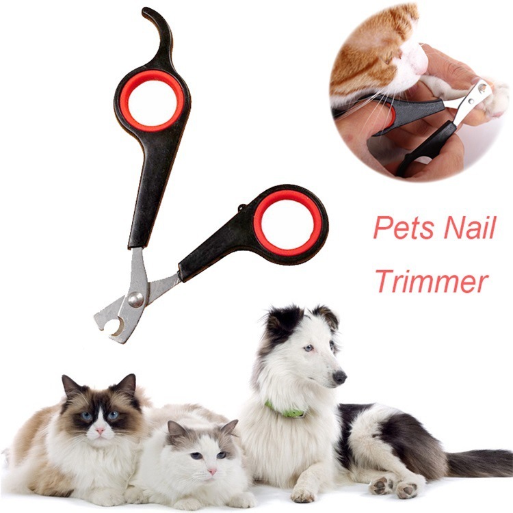 Tesoura De Unhas Inox Para Cachorros / Gatos/ Coelho/Pets 12,5x6cmtesoura Cortador De Unha Promoção