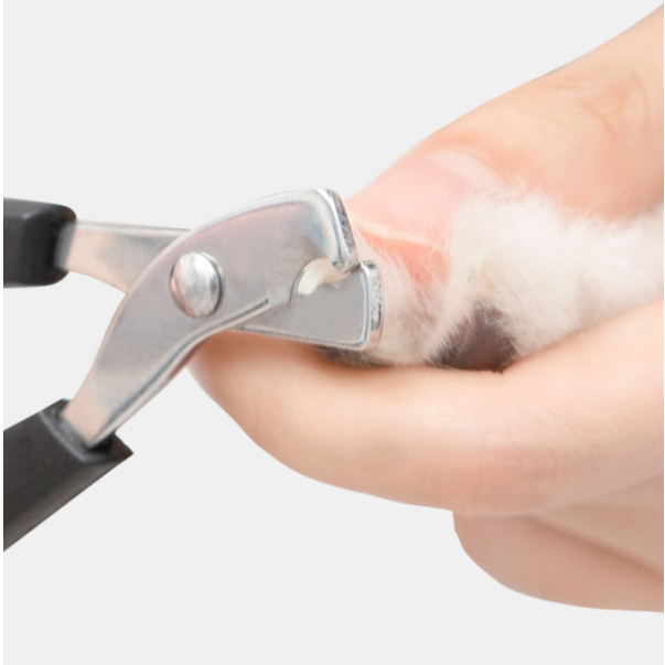 3 Maquina Para Tosar Tesoura De Unha Pet Profissional Promoção